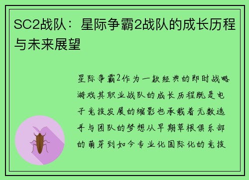 SC2战队：星际争霸2战队的成长历程与未来展望