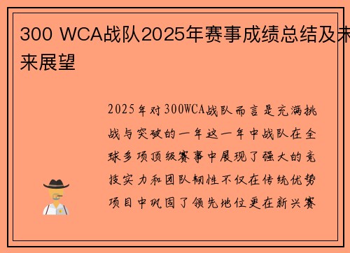 300 WCA战队2025年赛事成绩总结及未来展望