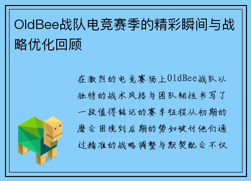 OldBee战队电竞赛季的精彩瞬间与战略优化回顾